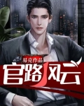 官路风云小说林海