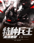 都市之特种兵王许铮全文免费下载