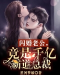 闪婚老公,竟是千亿霸道总裁小说