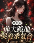 离婚后前妻每天求复合小说免费阅读
