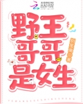 野王哥哥网恋吗