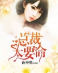 总裁太要命
