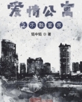 爱情公寓之不散宴席