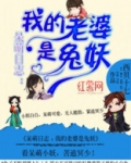 我的老婆是兔女郎