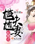 二婚夫妻的尴尬
