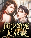 时少娇宠无双