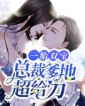 一胎双宝爹地宠妻要趁早
