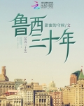 鲁西三十年