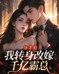 分手后我变成了前女友小说