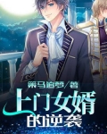 新上门女婿完整版