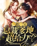 一胎二宝总裁爹地超给力全集