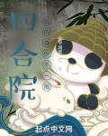 四合院：我的身份不一般