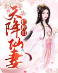天降仙妻不好惹