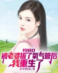 1980被老婆拔了氧气管后我重生了短剧免费观看陆雄