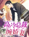 高冷总裁缠娇妻的小说