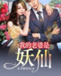 我的老婆是妖仙 小说
