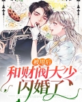 被甩后和财阀大少闪婚了