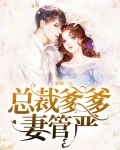 团宠三宝，总裁爹爹妻管严