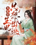 失忆王妃小说