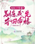 权臣下堂妻?别急,我先夺回命格