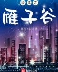 经城之雁子谷故事梗概