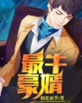 最牛豪婿 烟花雨季