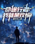 命途小说txt