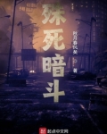 殊死暗斗小说