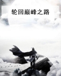 轮回巅峰之路
