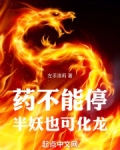 药不能停,半妖也可化龙 小说