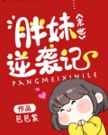 末世胖妹逆袭记TXT百度网盘