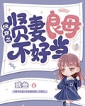 综贤妻良母型
