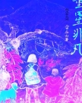 童星非凡