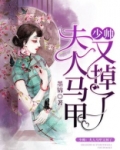 少帅:夫人马甲又掉了