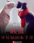 联盟：开局辅助水子哥