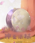 斗罗之我是双生武魂