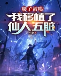 腰子被噶我移植了仙人五脏最新研究