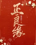 正良缘最新章节