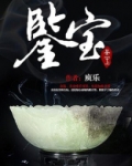 鉴宝