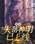 网游失落叶盗版神话