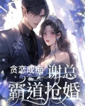 贪恋成痴谢总霸道抢婚