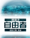 《网游之自由盗贼》