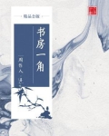 书房一角全文阅读