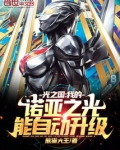 光之国：我的诺亚之光能自动升级