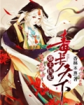 邪王医妃毒步天下正版小说