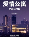 爱情公寓之南风过境无防盗