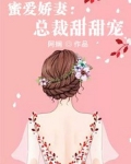 总裁和娇妻甜甜的恋爱小说