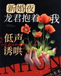 新婚夜，龙君抱着我低声诱哄