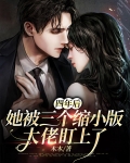 四年后她带了六个缩小版大佬回归