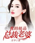 我的极品总裁老婆